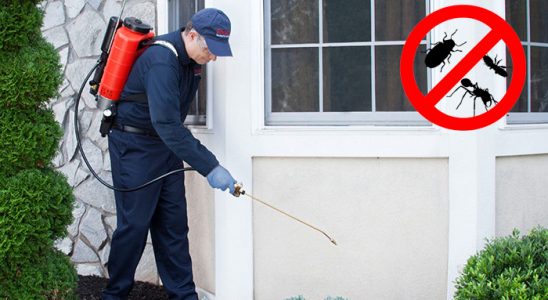 Suşehri Kemirgen İlaçlama böcek ilaçlama ve haşere kontrolü — ilaclama-tr.com